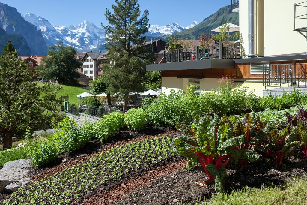 Hotel Schoenegg Wengen Exteriör bild